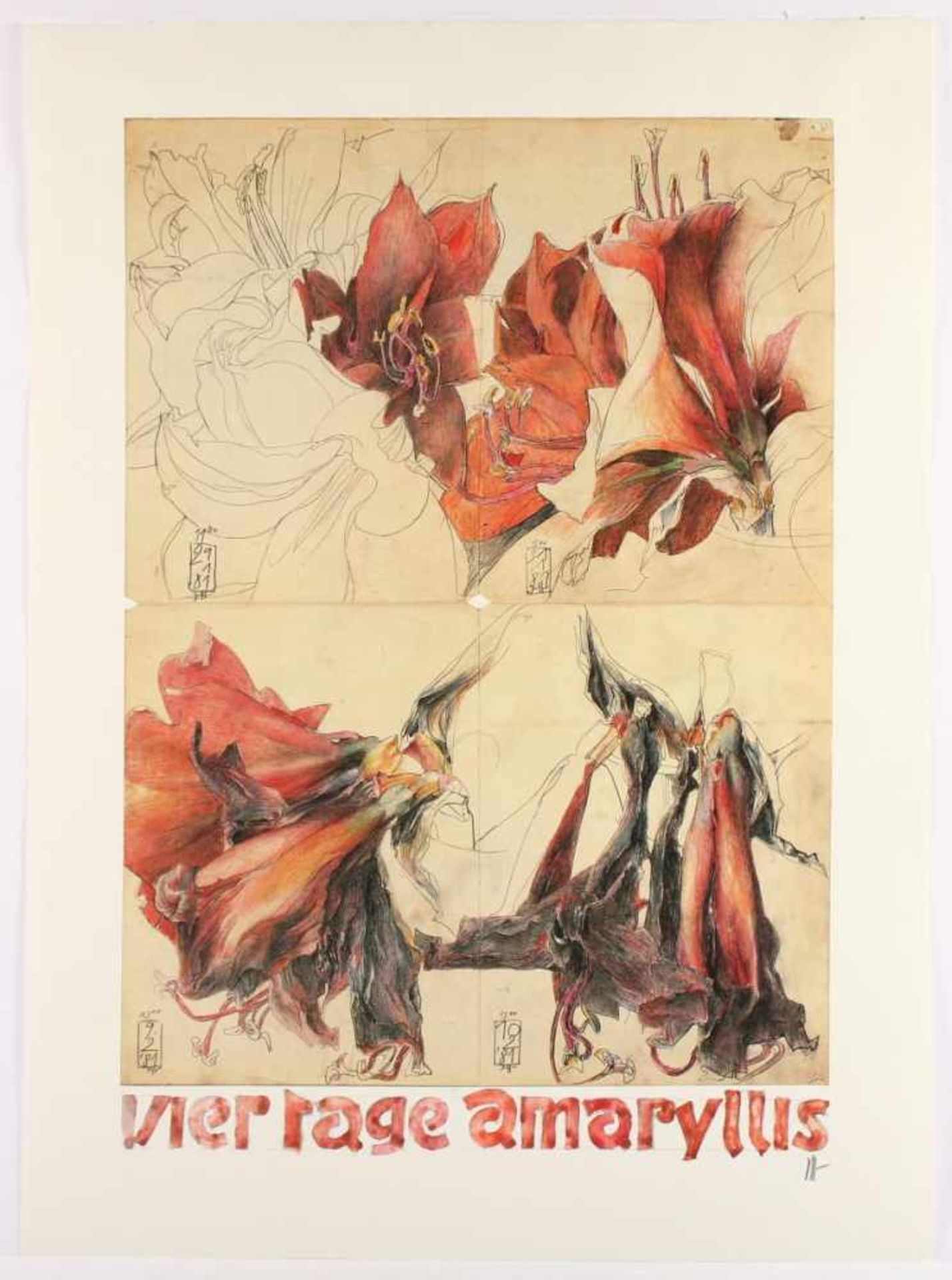 JANSSEN, Horst, Plakat, "Amaryllis", Farboffset/Büttenpapier, 76 x 51, handsigniert, 1981, - Bild 2 aus 2