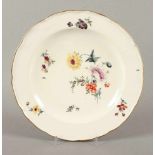 MENÜTELLER, polychrom gemalter Blumendekor, Goldrand, Dm 24, minst.ber., FRANKENTHAL, 1755-1762