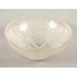 MUSCHELSCHALE "COQUILLE", farbloses, opaleszentes Glas, verso reliefierter Muscheldekor, Dm 13,