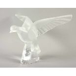 TAUBE, farbloses, partiell satiniertes Glas, H 29, ritzsign. LALIQUE, FRANKREICH, 20.Jh.