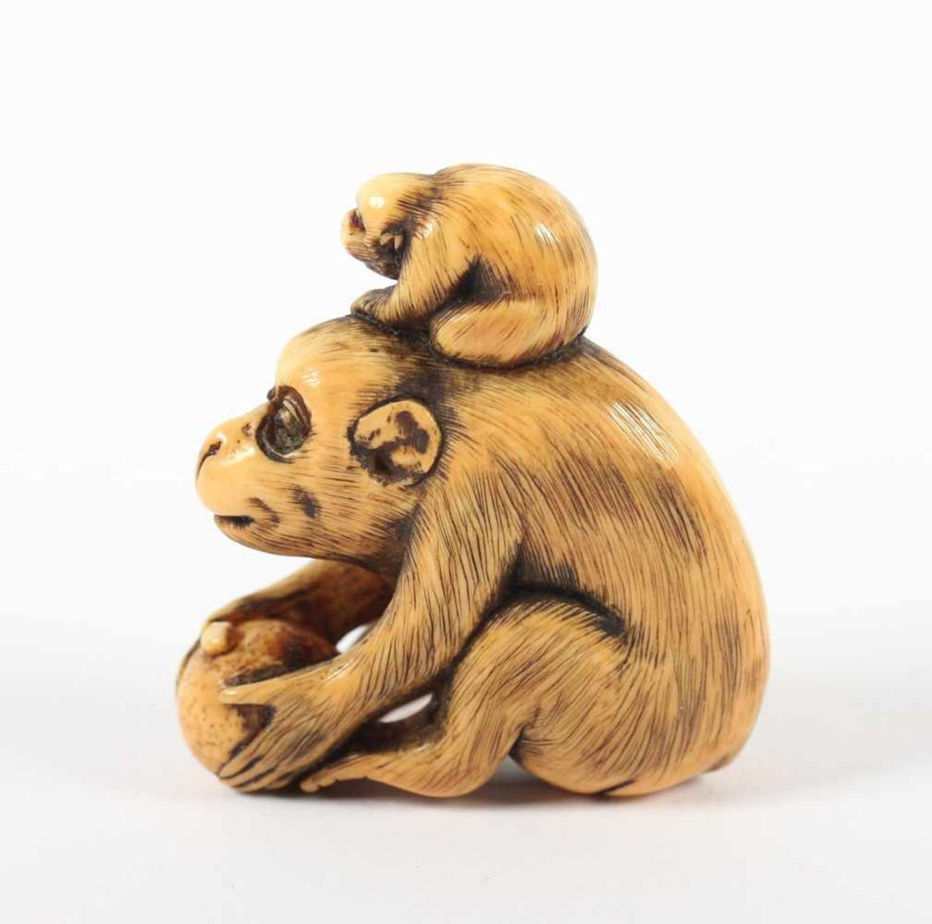 NETSUKE AFFENGRUPPE, Elfenbein, ein großer sitzender Affe hält mit allen vier Pfoten eine Frucht, - Bild 3 aus 5