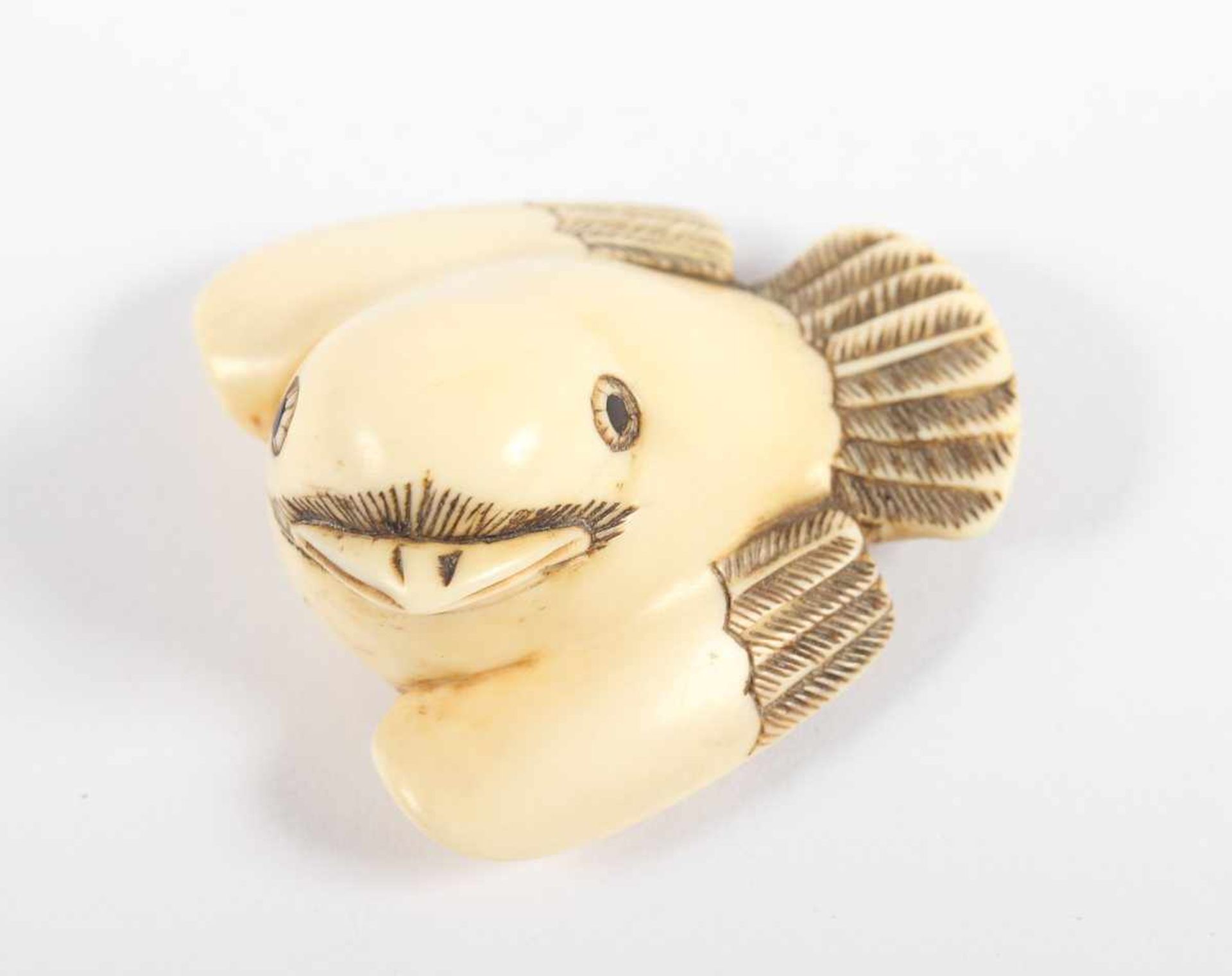 NETSUKE FUKURA SUZUME, Elfenbein, die Augen wohl dunkles Holz, der Glücksspatz sitzt flach auf dem