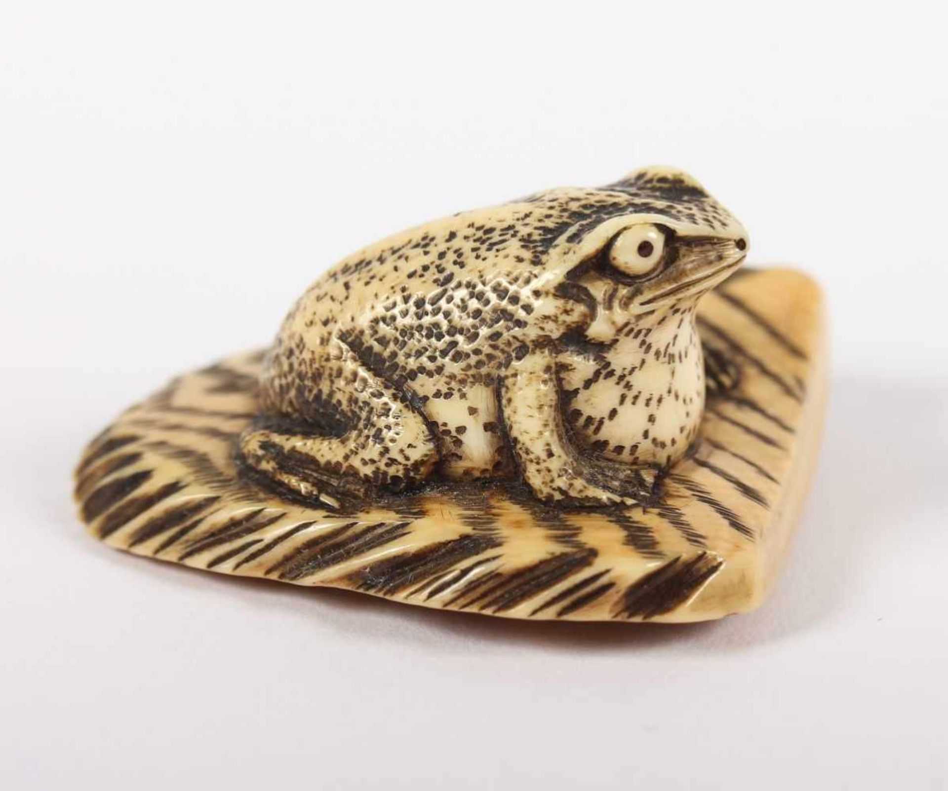 NETSUKE GROSSER FROSCH, Elfenbein, auf einem fast dreieckigen Stück Treibholz sitzend, fein - Image 2 of 4