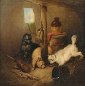 ARMFIELD, George (1808-1893), "Junge spielende Hunde im Stall", Öl/Lwd., 46 x 46, unten links