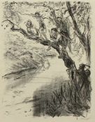 SLEVOGT, Max, "Auf dem Baum lauernd", (?) Original-Lithografie, 34 x 26, handsigniert, wohl 1909,