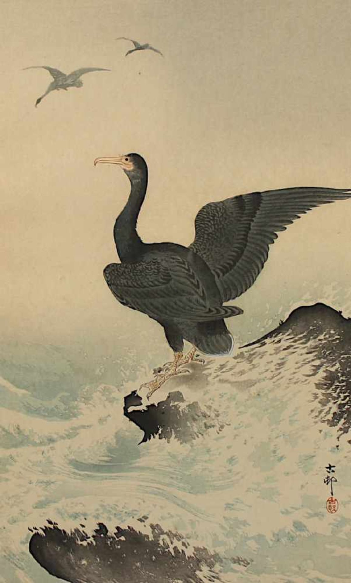 KOSON OHARA (1877-1945), Kormoran, Farbholzschnitt, Passepartoutausschnitt 41 x 24,5, unter Glas