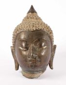KOPF EINES BUDDHA, Bronze mit Resten von Vergoldung, große Buckellocken, über dem Ushnisha ein