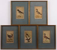 FÜNF VOGELDARSTELLUNGEN, Kupferstiche, 14 x 8, E.18.Jh., R.- - -22.00 % buyer's premium on the