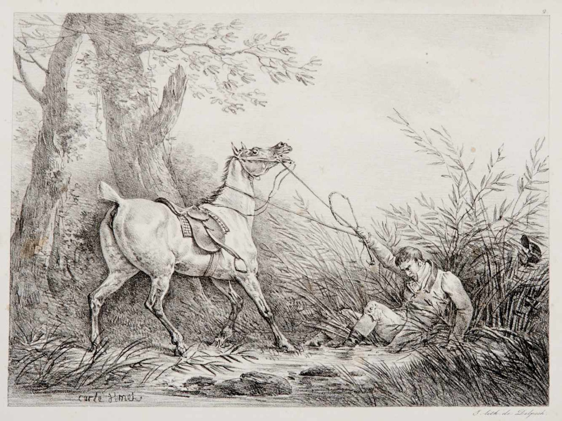 Fauna - Pferde - Sammlung -Acht Lithographien von F. Delpech nach C. Vernet, um 1825. Je ca. 19,5 - Bild 2 aus 4