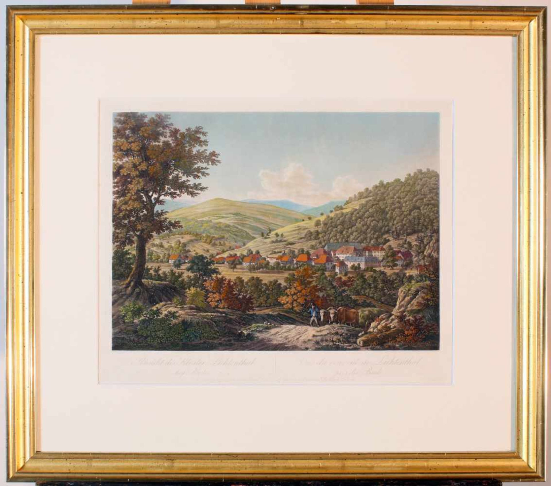 Gesamtansicht des Zisterzienser Klosters Lichtenthal und der Umgebung"Ansicht des Kloster - Bild 2 aus 2