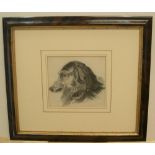 Victorian graphite study of a dogs head in profile, initialled M M, in original hardwood frame 22