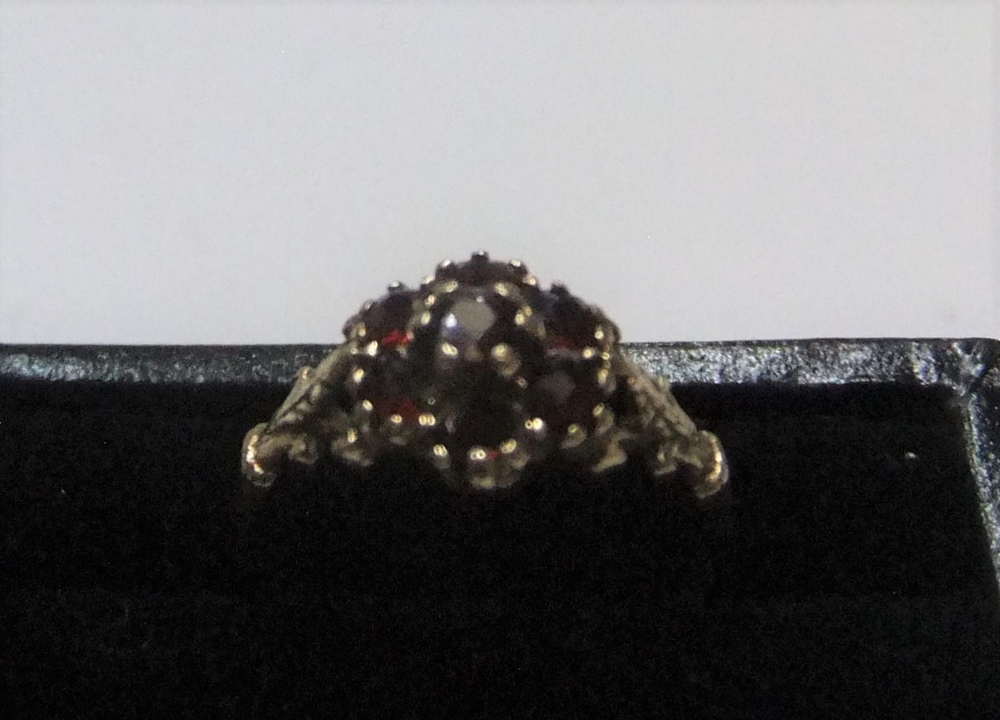 9ct yellow gold and 7 garnet stone ring Approx 1.3 grams gross, size J