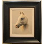 Michael Miller 2004 oil on board, portrait "Head of white stallion", signed, dated and good