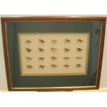 Nicely presented framed colourful fly hooks, framed and glazed 27 x 43 cm Very good condition