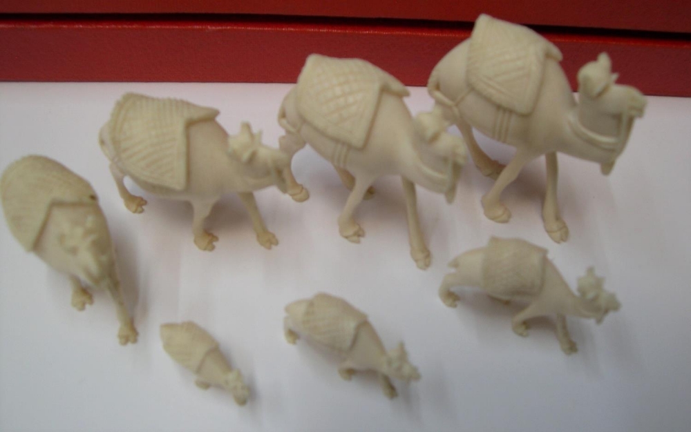stunning boxed antique set of 7 graduating sized carved ivory camels in original red box, circa - Image 4 of 6
