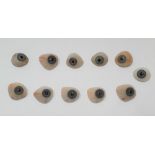 11 antique human glass eyes (all blue) some initialled E.F. All in good condition and in