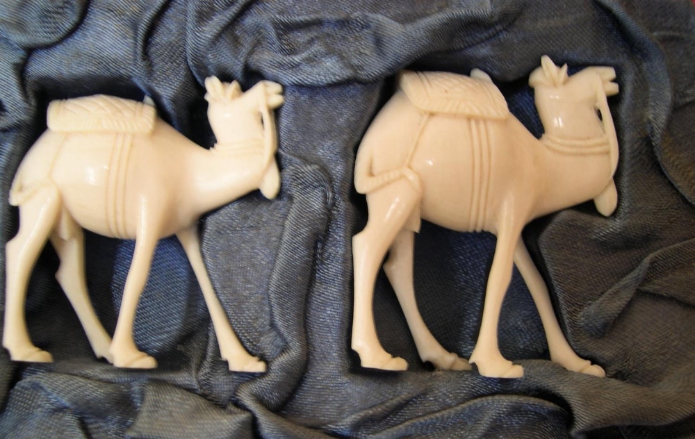 stunning boxed antique set of 7 graduating sized carved ivory camels in original red box, circa - Image 2 of 6