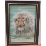 Unsigned vintage watercolour portrait of a young Japanese snow monkey in water, framed, 14 x 9 cm