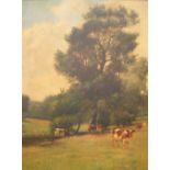 Large, c1900, indistinctly signed oil on canvas, "Cows at pasture", signed, original frame, 60 x