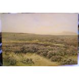 Frank SALTFLEET (1860-1937) watercolour, Figure in extensive moorland landscape, signed, unframed 34