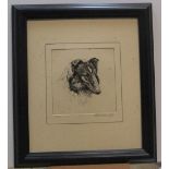 Ronald Basil Emsley WOODHOUSE (1897-?) etching "Head of Collie", signed in pencil, framed, 12 x 12