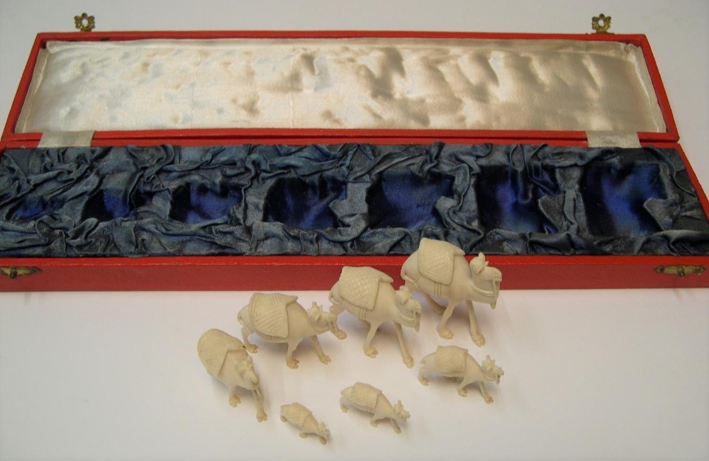 stunning boxed antique set of 7 graduating sized carved ivory camels in original red box, circa - Image 6 of 6