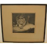 Warwick Reynolds (1880-1926) pencil signed etching of a Lion, pencil signed, framed 23 x 25 cm