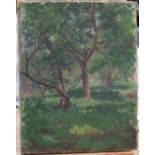 Unsigned, Mid 20thC, French post-impressionist oil on canvas, "Woodland scene", unframed, 35 x 27 cm