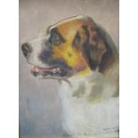 H B Clough of Colwyn Bay, 1890 oil on panel "Head of St Bernard dog in profile", signed, dated &