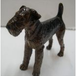 Unmarked, vintage cold-painted bronze, Airedale Terrier dog, 9 cm long by 8 cm high