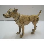 Large antique cold painted bronze of a Dog, indistinctly stamped to the under-side, 15 cm long by 10