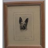 Ronald Basil Emsley WOODHOUSE (1897-?) etching "Head of German Shepherd", signed in pencil, 11 x