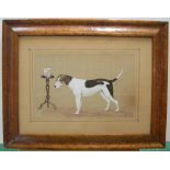 D.W.B 1879 intialled & dated, folk-art watercolour of a hound in room interior, in old birr walnut