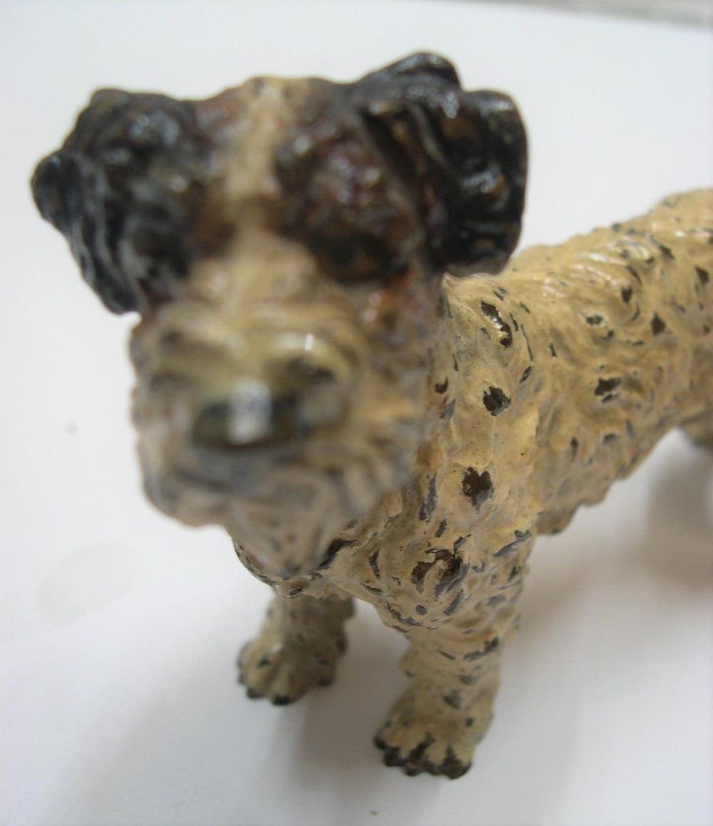 Antique, unmarked cold-painted bronze of a Terrier dog, circa 1910, 11 cm long by 7 cm high - Image 3 of 3