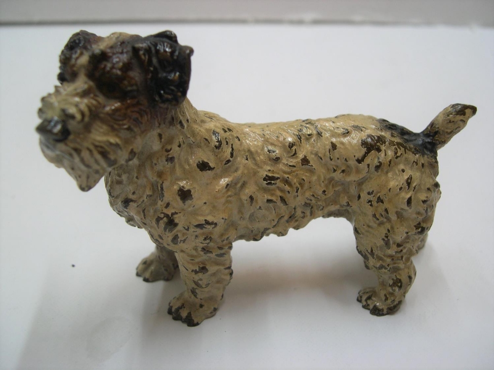 Antique, unmarked cold-painted bronze of a Terrier dog, circa 1910, 11 cm long by 7 cm high