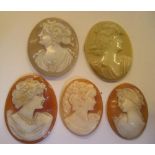 5 good quality antique Cameos