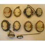 10 antique Cameo items including 8 small brooches etc