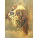 Unusual oil portrait of the head of a King Charles Spaniel on slate, unframed, approx 30 x 21 cm