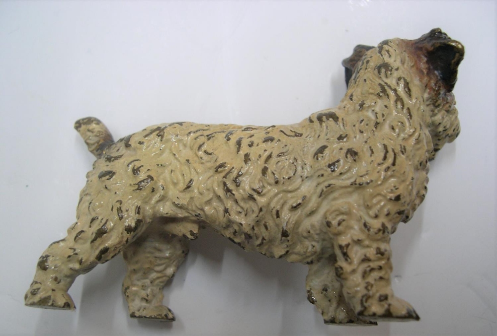 Antique, unmarked cold-painted bronze of a Terrier dog, circa 1910, 11 cm long by 7 cm high - Image 2 of 3