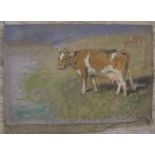 Joseph Dixon CLARK (1849-1944) oil on cut-down canvas, study of a cow, unsigned, unframed, 22 x 34