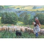 Large 1981 oil on canvas, "Shepherd & flock in extensive country landscape" signed "SUTTON", framed,