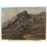 Attributed to Thomas SPINKS (1847-1927) oil on canvas, "Rocky outcrop", signed, unframed, 25 x 35 cm