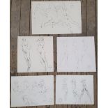 5 good quality, Peter COLLINS (1923-2001) pencil female nudes/figure studies, Approx average size is