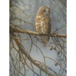 Provenanced, Mike Jackson (Preston, born 1961) 1991 gouache "Tawny Owl", signed and dated, in