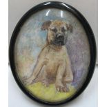Unsigned, Edwardian watercolour miniature of a puppy, thin original frame and glazed, 4.5 x 3.5 cm