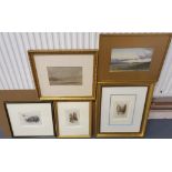 5 Victorian/Edwardian watercolours to include examples by Morgan Smith, Alice Squire & 3 superb late