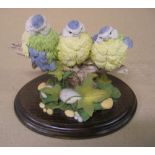 3 baby bluetits, country artists, hand-painted by Tim Smith, compete with certificate, 15 cm