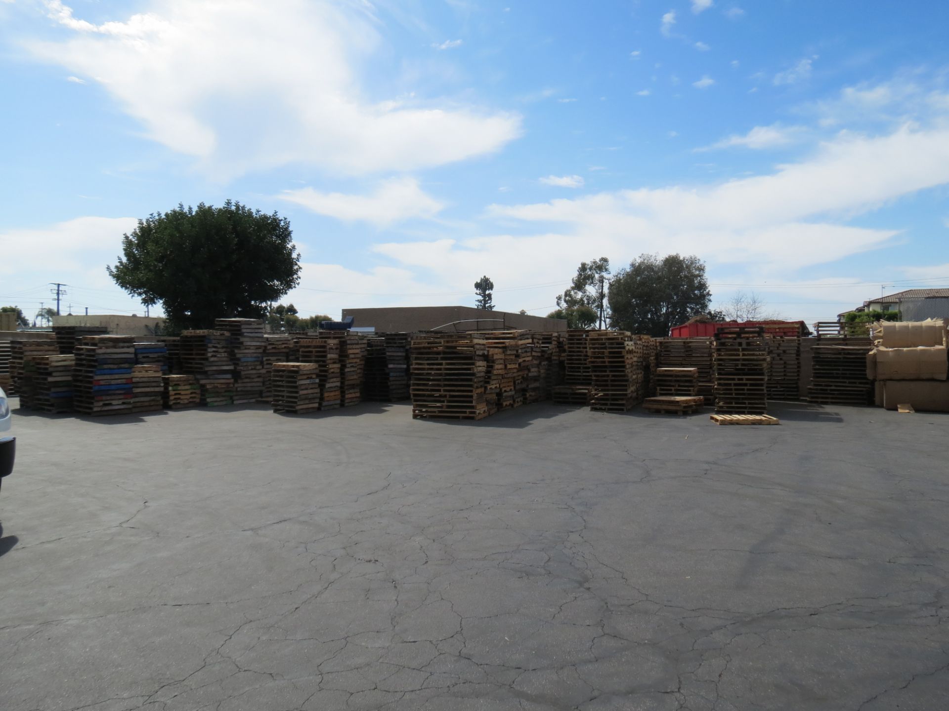 Lot of Assorted Pallets (Approx. 2000 Pallets Buyer Must Inspect No Adjustments Will be Made)