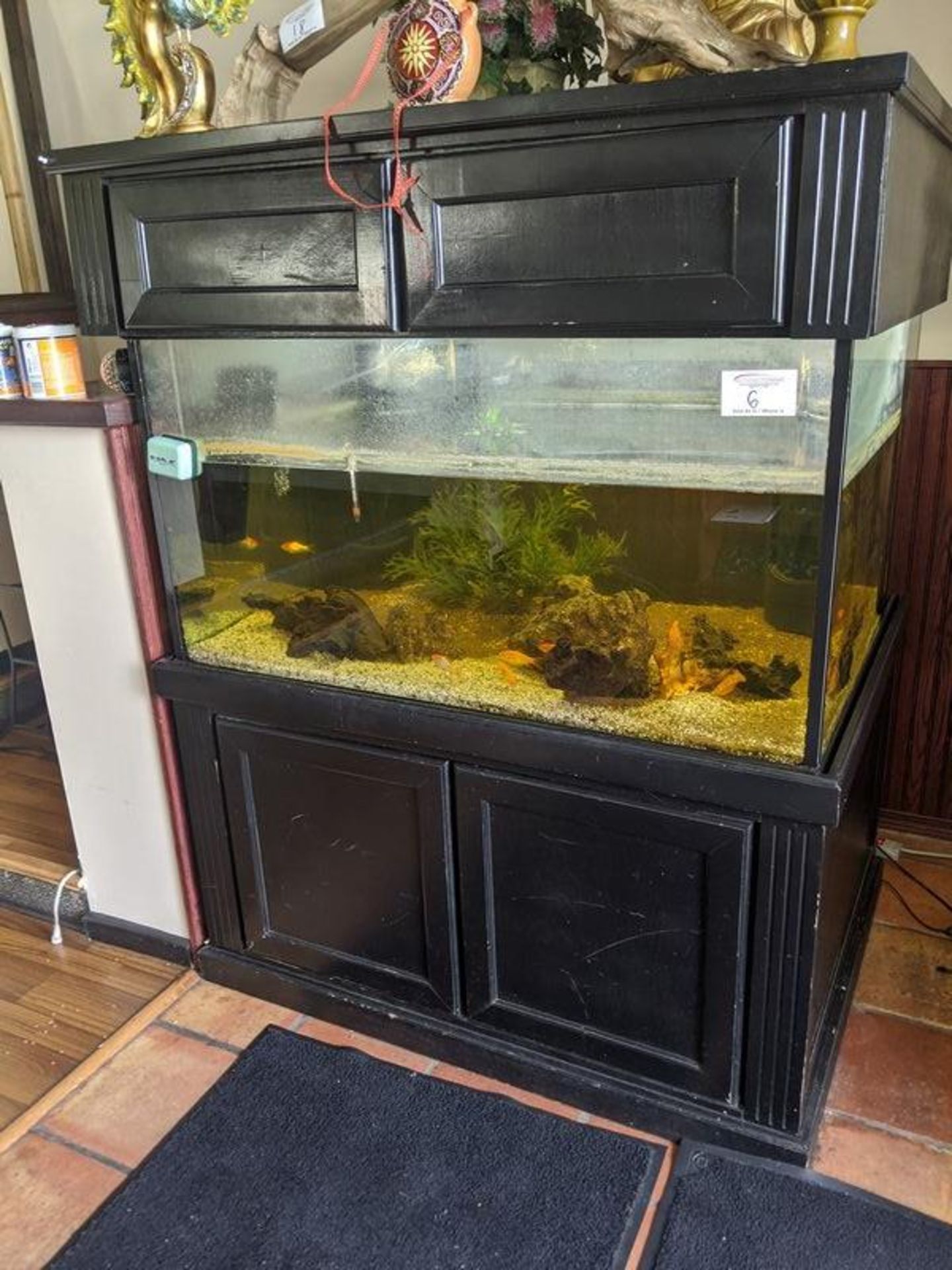 Large Fish Tank with Pumps and Filters