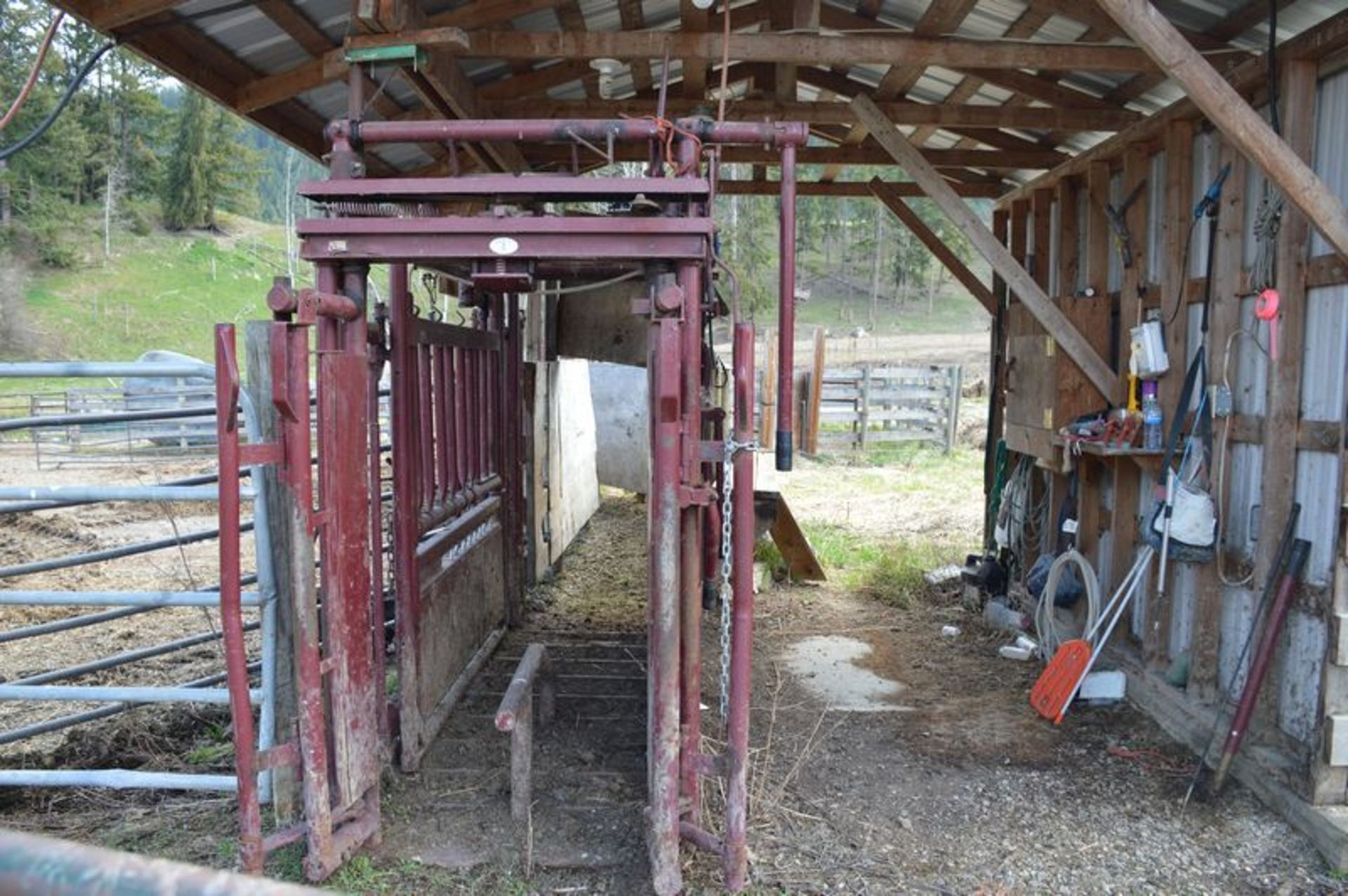 Stampede Steel Cattle Squeeze - Image 3 of 3